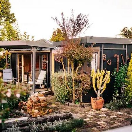 Starry Nights Cabin Fever Waikino Exteriér fotografie