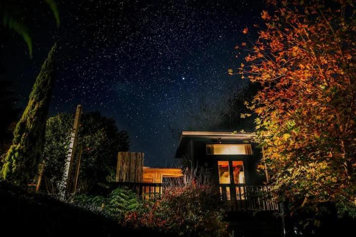 Starry Nights Cabin Fever Waikino Exteriér fotografie