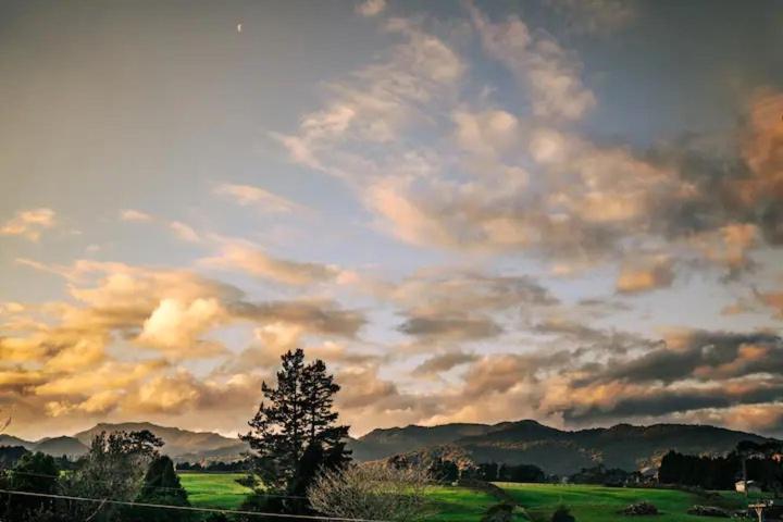 Starry Nights Cabin Fever Waikino Exteriér fotografie